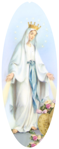 DNSA18-113 Lady of the Miraculous Medal B